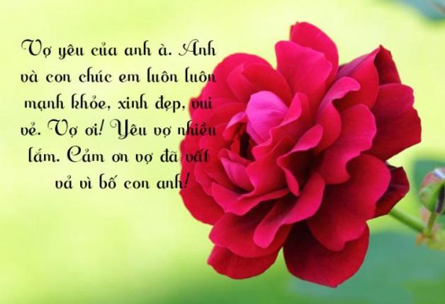 Gửi lời chúc mừng sinh nhật vợ yêu