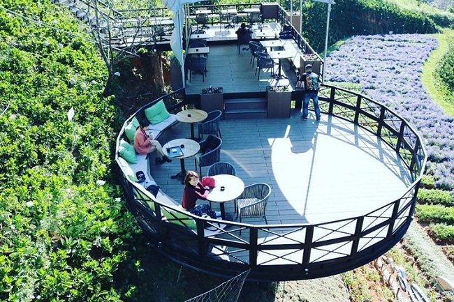 cafe tuyet dep tai da lat khong nen bo qua tai da lat
