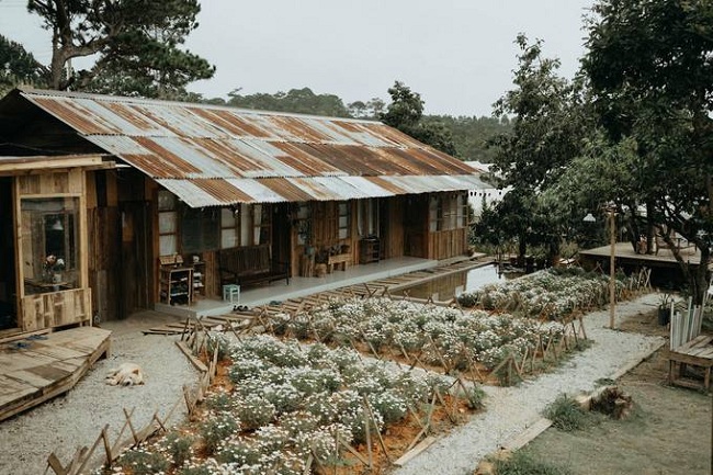 22 quan cafe danh fa khong nen bo lo khi den da lat