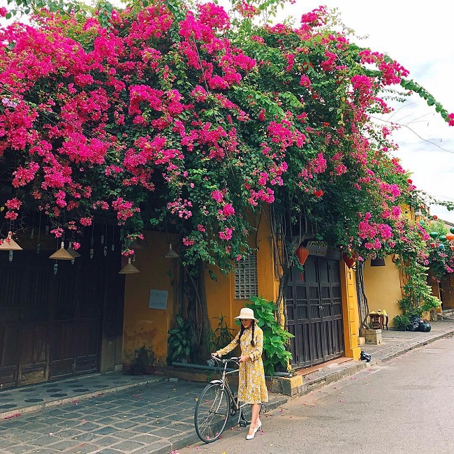 8 dia diem song ai cuc chat tai hoi an khong nên bo qua
