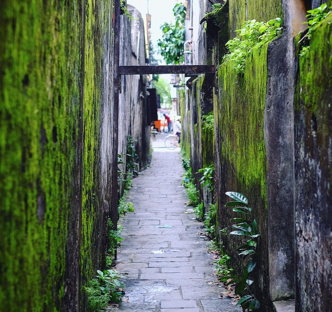 song ao noi nao tai hoi an sieu dep ban nen thu
