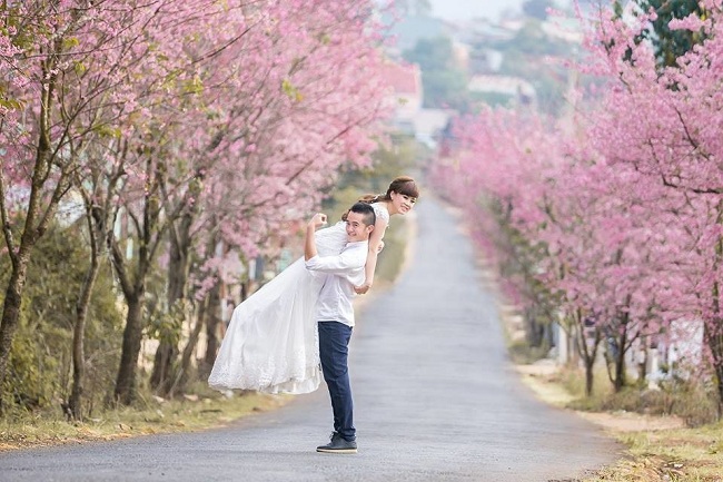 da lat mua nao thang nao dep nhat trong nam
