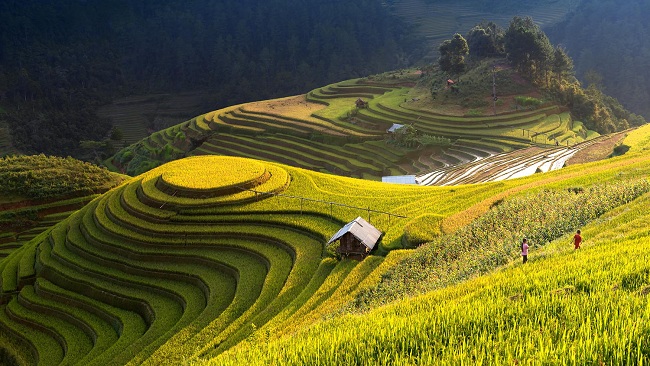 len sapa ngam lua chin