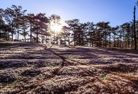 tuyet dep vơi dac san chi co rieng o da lat thang 11