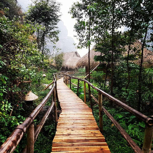  homestay ninh binh 