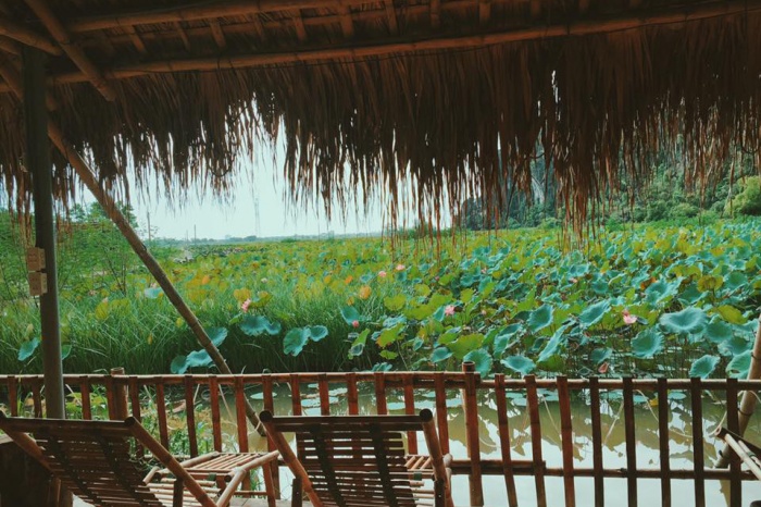  homestay ninh binh sieu dep