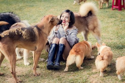 phat sot voi trang trai cun chat hon nuoc cat tai da lat