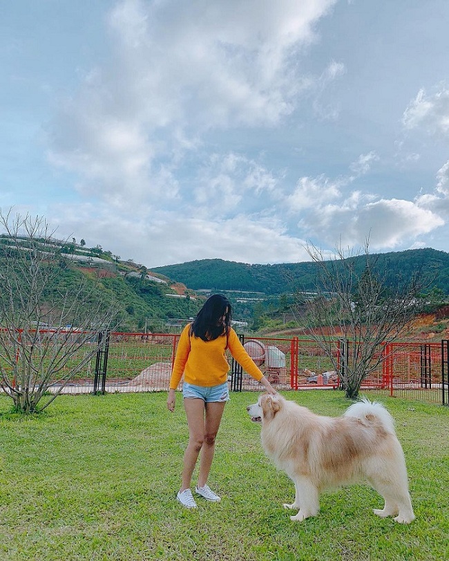 cac trang trai cung chat hon nuoc cat tai da lat