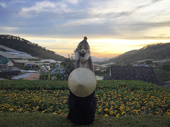 trang trai cun chat hon nuoc cat co o da lat