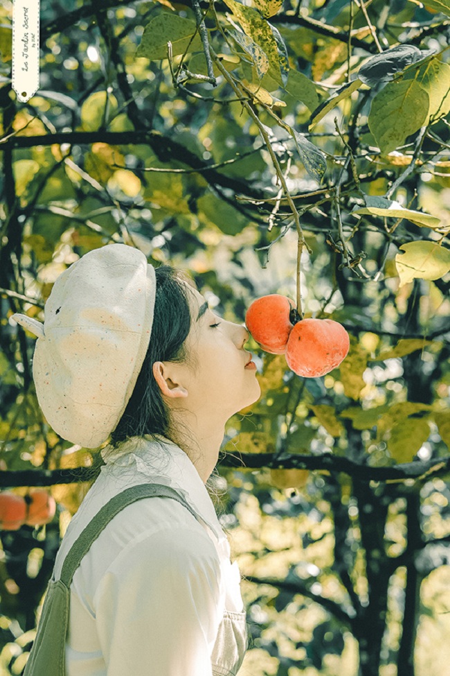 vuon hong dia diem moi tai da lat hien nay