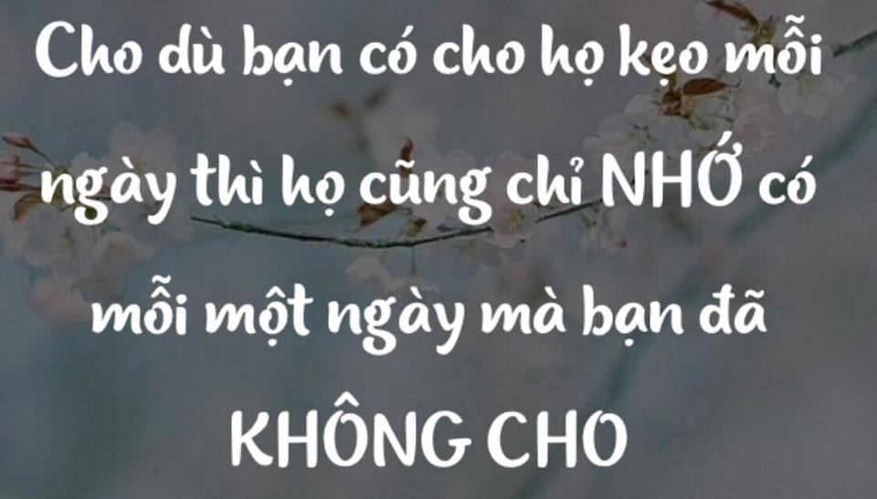 hay-la-mot-nguoi-thong-minh-qua-bai-hoc-triet-ly-vien-keo-1