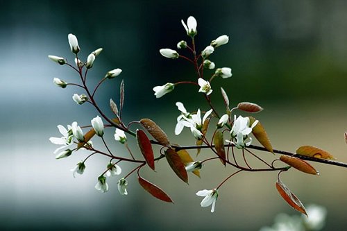 50-status-chao-thang-1-am-ap-tinh-yeu-thuong-va-chao-don-nam-moi-10