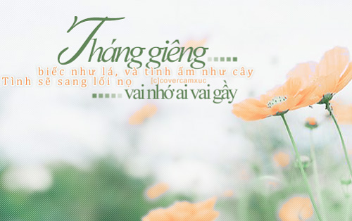 50-status-chao-thang-1-am-ap-tinh-yeu-thuong-va-chao-don-nam-moi-5