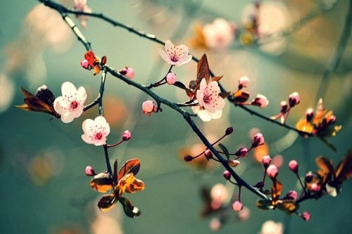 50-status-chao-thang-1-am-ap-tinh-yeu-thuong-va-chao-don-nam-moi-8