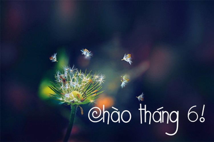 bai-tho-chao-thang-6-hay-1