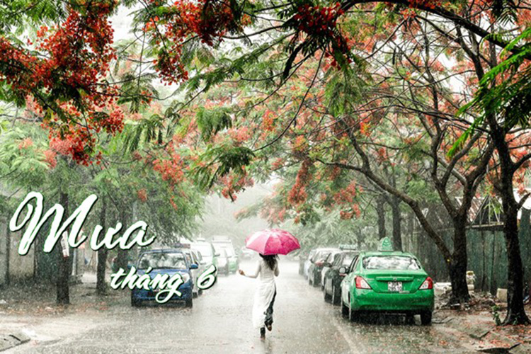 bai-tho-chao-thang-6-hay-6