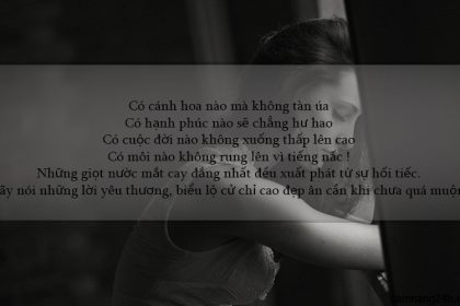 hinh-anh-kem-status-buon-khoc-co-don-va-tam-trang-nhat-trong-tinh-yeu-1