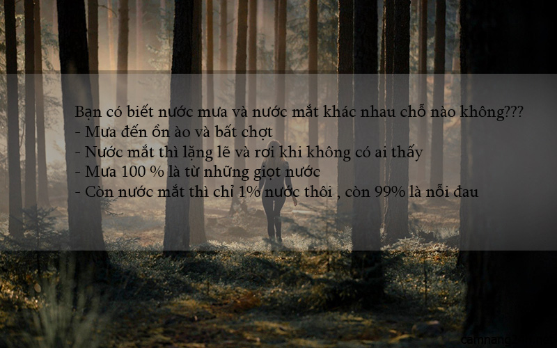 hinh-anh-kem-status-buon-khoc-co-don-va-tam-trang-nhat-trong-tinh-yeu-11