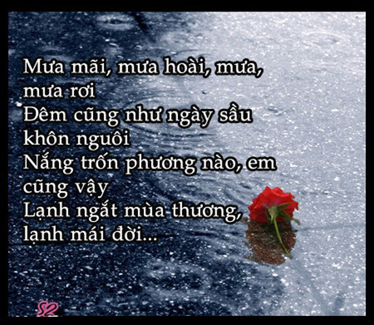 hinh-anh-kem-status-dem-khuya-hay-va-cuc-chat-duoc-share-nhieu-tren-facebook-11
