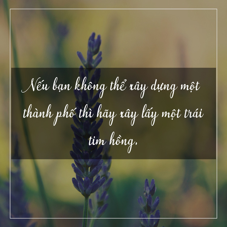 hinh-anh-kem-status-hay-ve-cuoc-song-y-nghia-9