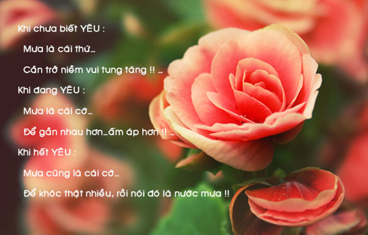 nhung-cau-noi-hay-va-y-nghia-ve-tinh-yeu-1