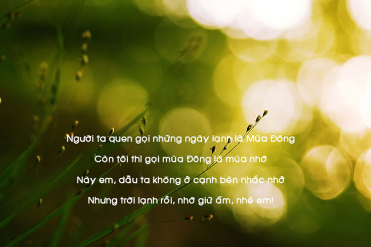 nhung-cau-noi-hay-va-y-nghia-ve-tinh-yeu-2