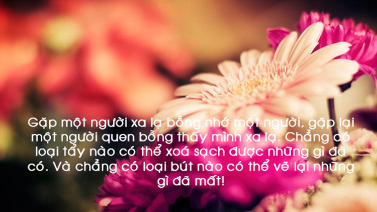 nhung-cau-noi-hay-va-y-nghia-ve-tinh-yeu-7
