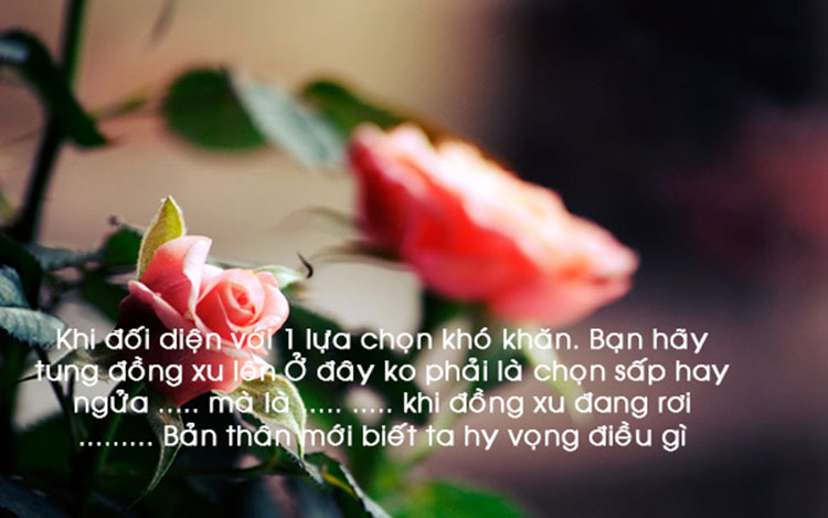 nhung-cau-noi-hay-va-y-nghia-ve-tinh-yeu-8