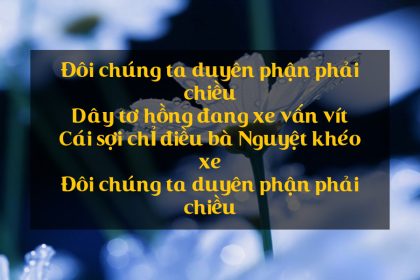 tuyen-tap-nhung-bai-tho-hay-ve-tinh-duyen-duyen-so-yeu-duong