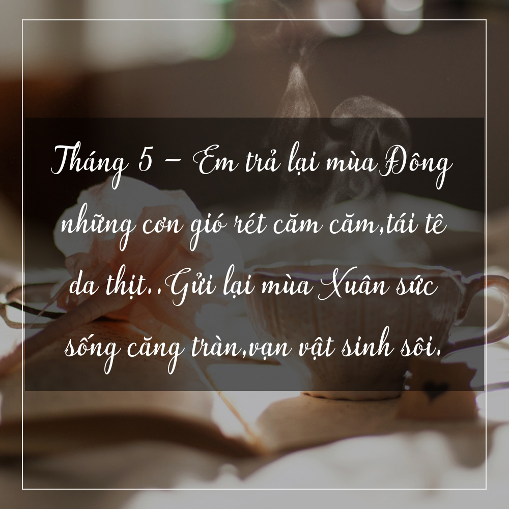 tuyen-tap-nhung-status-cam-xuc-em-viet-cho-ngay-dau-thang-5