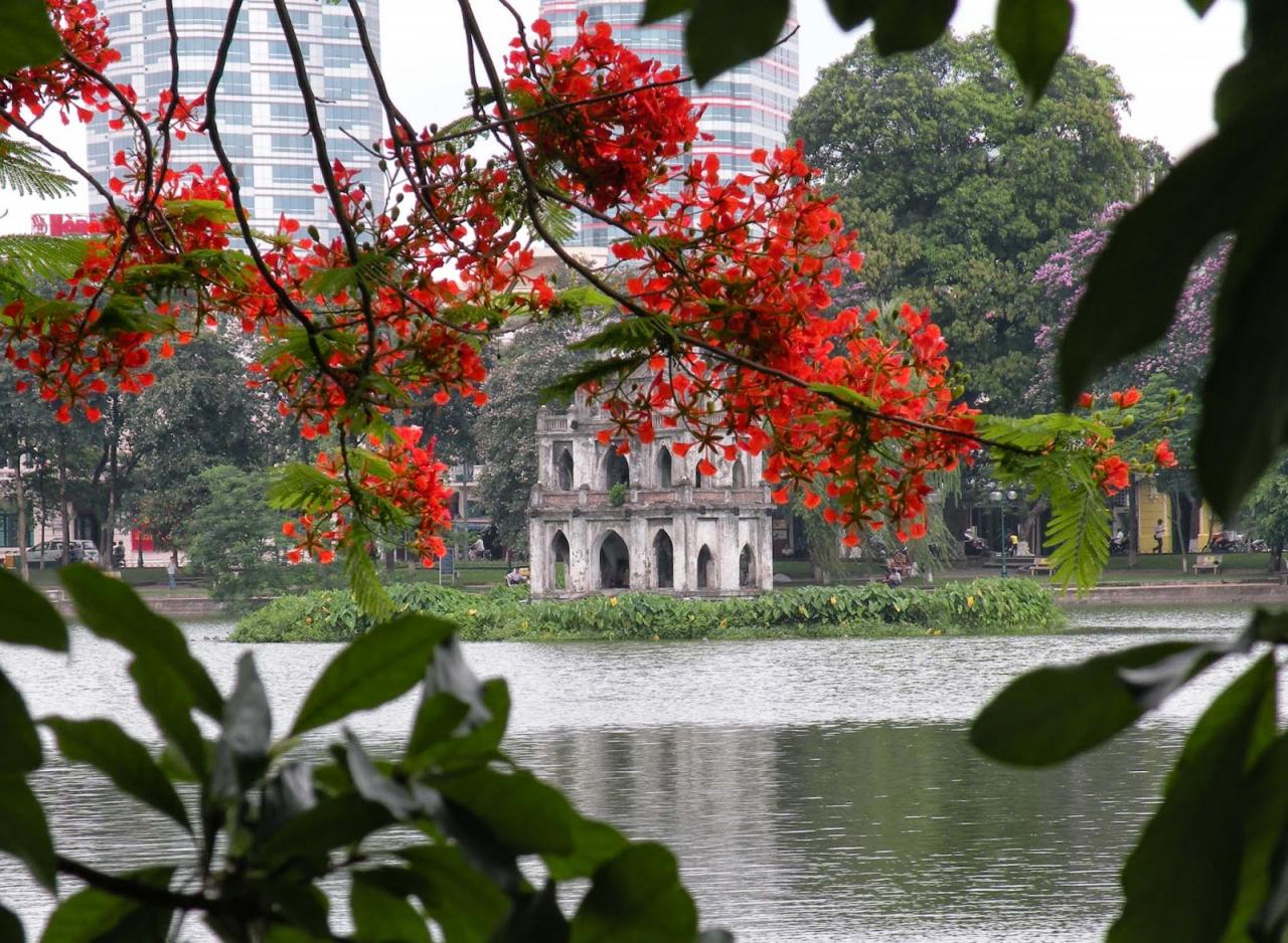 tuyen-tap-nhung-status-chao-thang-6-voi-hinh-anh-hoa-phuong-4