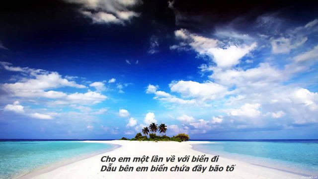 stt biển