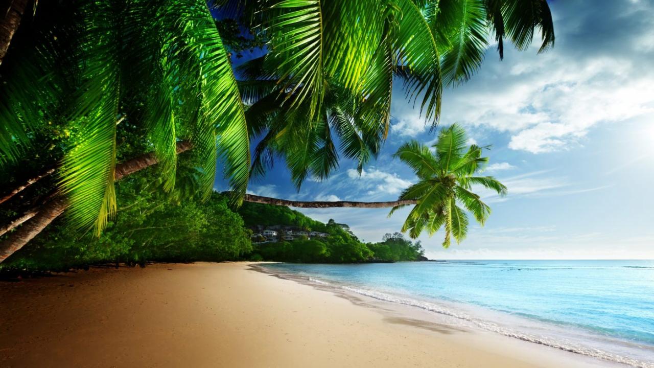 wallpaper-4k-hinh-nen-4k-bai-bien-ngay-nang_101258381-1-1400x788-2